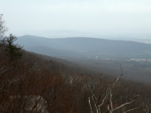 New Year's Day Hike '11